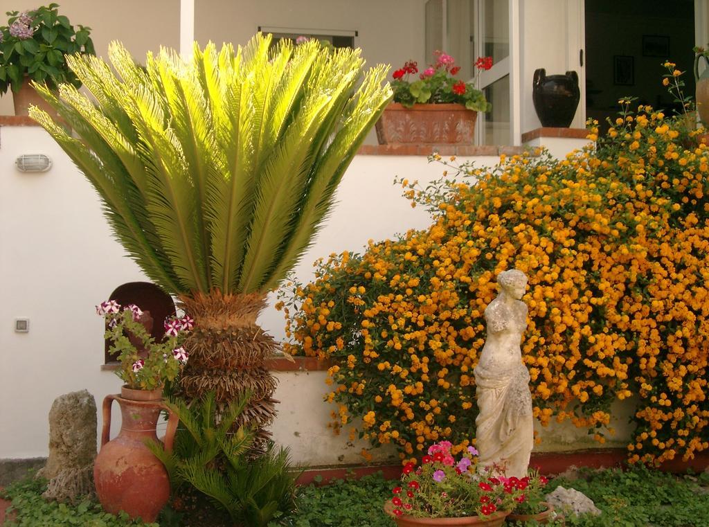 Mediterraneo Bed & Breakfast Anacapri  Zewnętrze zdjęcie