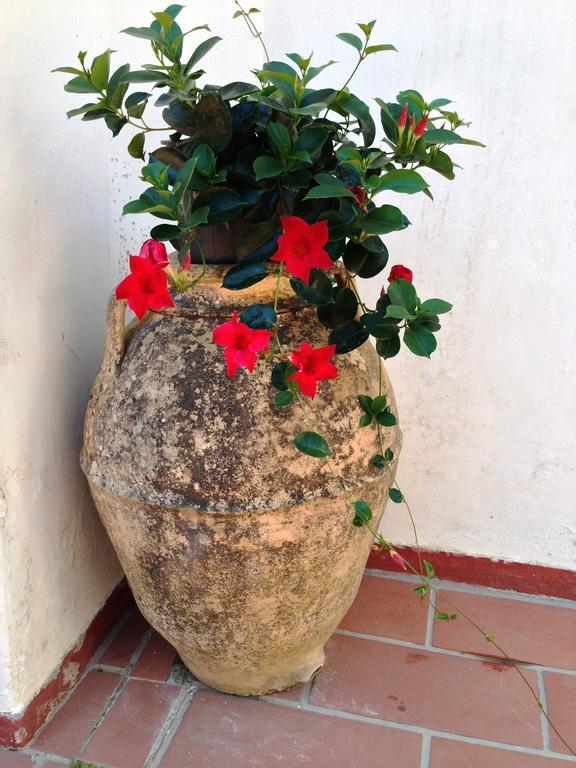 Mediterraneo Bed & Breakfast Anacapri  Zewnętrze zdjęcie