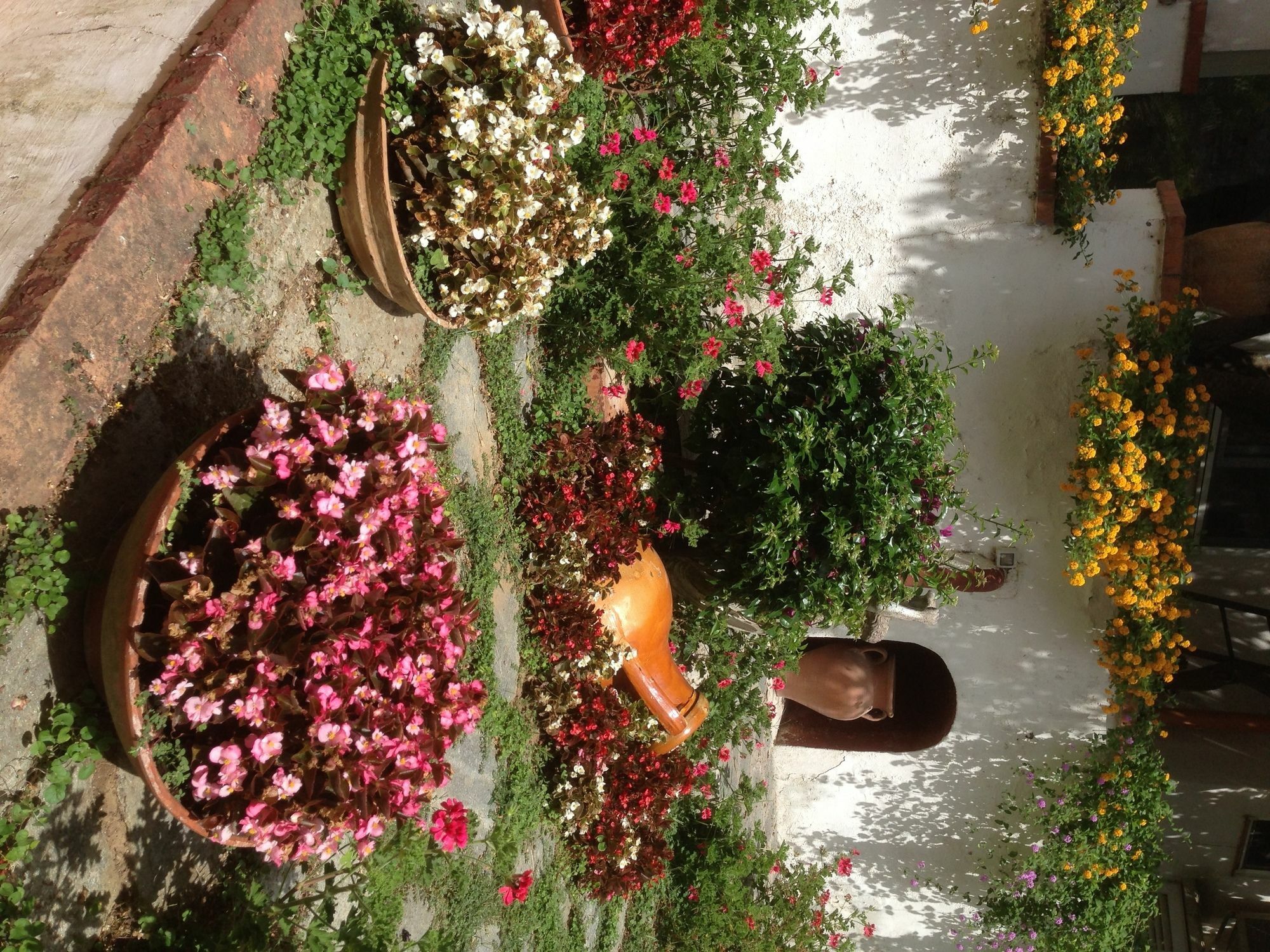 Mediterraneo Bed & Breakfast Anacapri  Zewnętrze zdjęcie