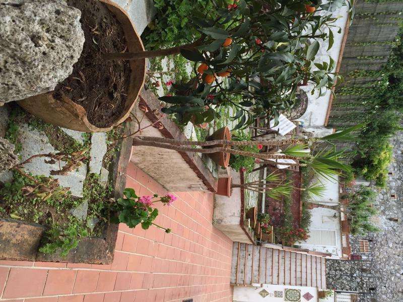 Mediterraneo Bed & Breakfast Anacapri  Zewnętrze zdjęcie