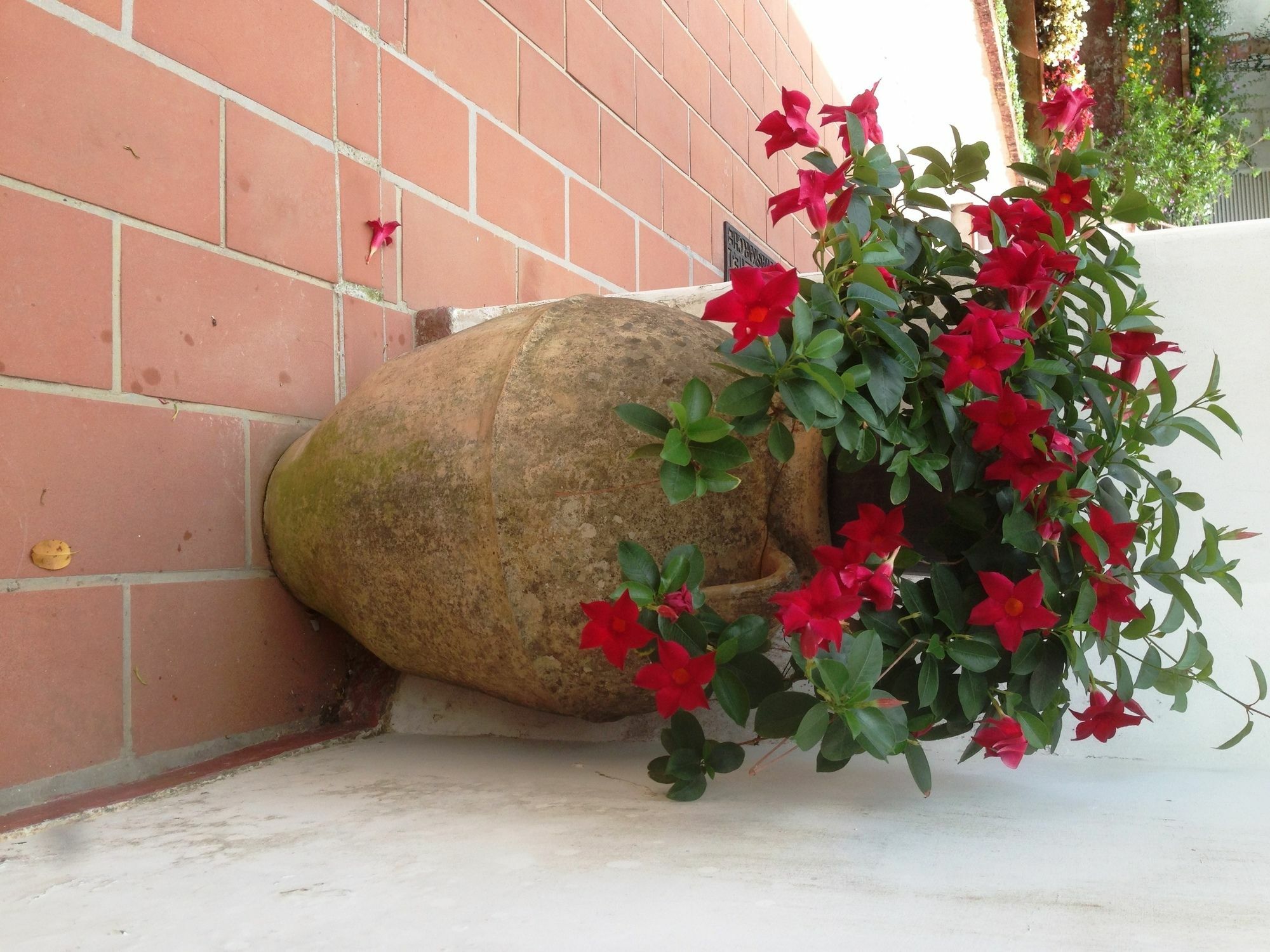 Mediterraneo Bed & Breakfast Anacapri  Zewnętrze zdjęcie